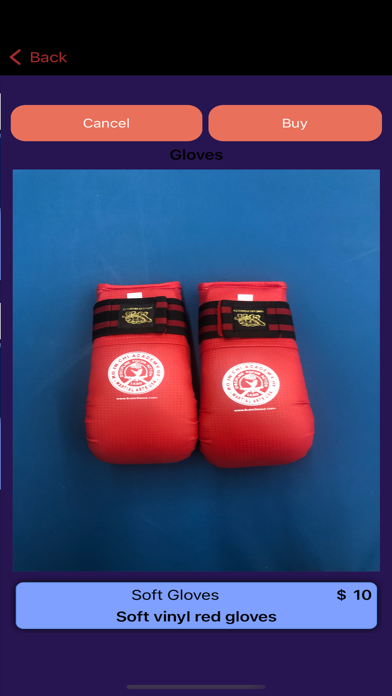 MartialArtsSchool Screenshot