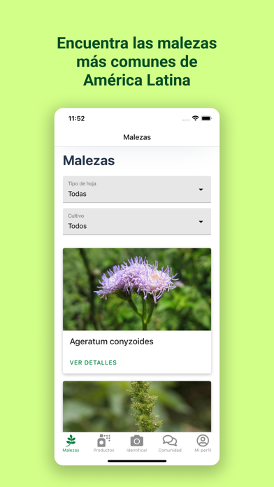 ZAMID Screenshot