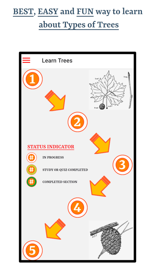 #1. Guess Trees From Leaves (iOS) Podle: Ghumman Tech LLC