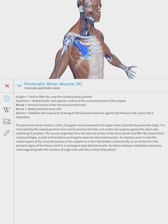 Visual Anatomy 3D - Human
