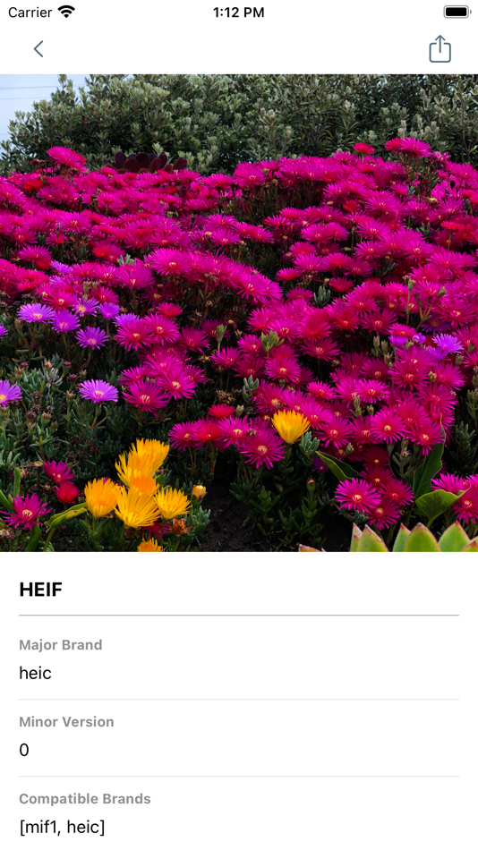 #2. Simple Exif Viewer (iOS) 由: sang reul juen