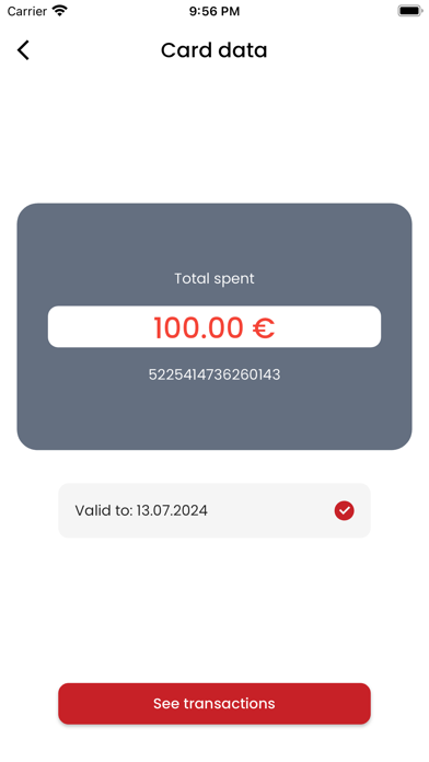 Budva tourist Screenshot