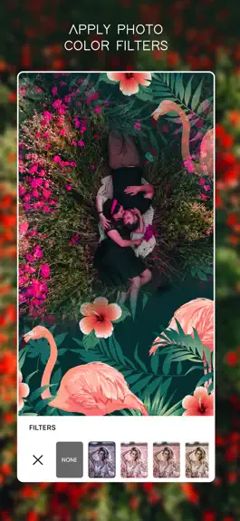 Game screenshot Pink Flamingo Photo Frames apk