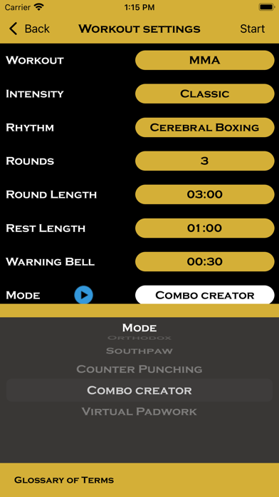 PrecisionBoxingCoachPro