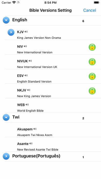 English Ghana Twi Audio Bible Screenshot
