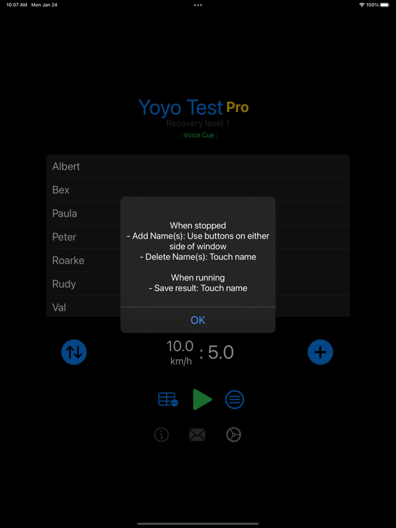 Yoyo Test Pro screenshot 3