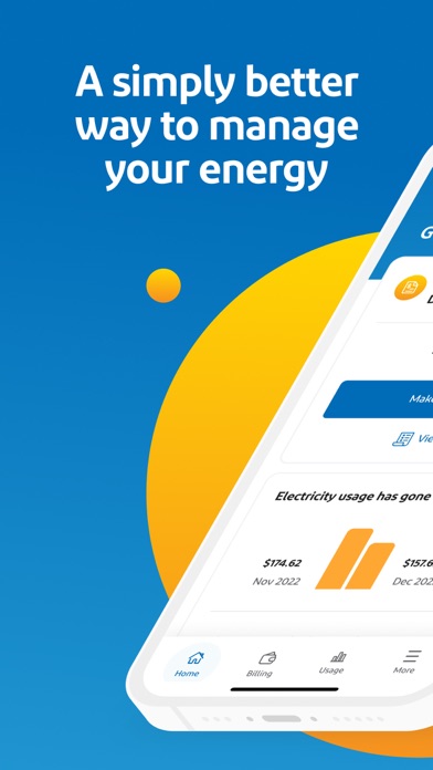Simply Energy Screenshot