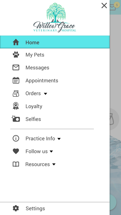 Willow Grace Vet Hospital Screenshot
