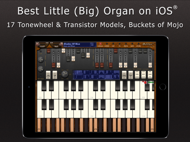 ภาพหน้าจอของ Galileo Organ 2