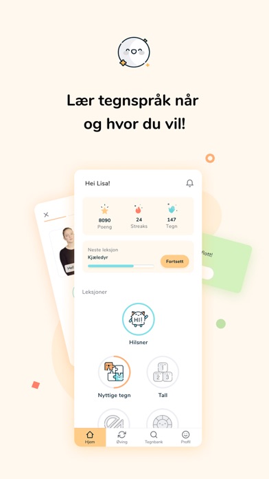 Toleio Norsk Tegnspråk Screenshot