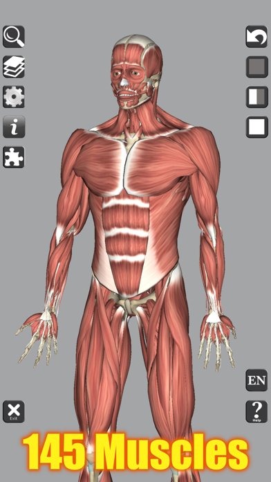 Screenshot #1 pour 3D Anatomy Learning