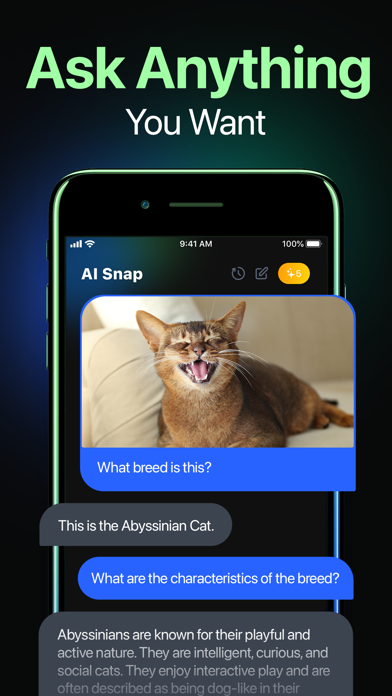 AI Snap: Ask and Scan Anything Screenshot