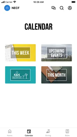 Game screenshot NECF apk