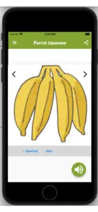 Speak Japanese Like Parrot screenshot #7 for iPhone