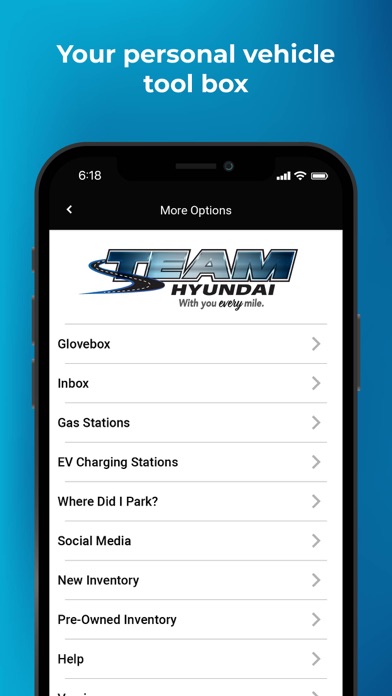 Team Hyundai Advantage Screenshot