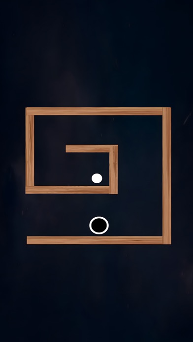 Master The Maze Screenshot