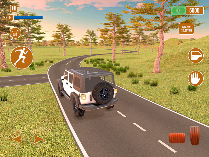 Long Road Trip - Car Simulator