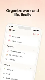 todoist: to-do list & planner problems & solutions and troubleshooting guide - 2