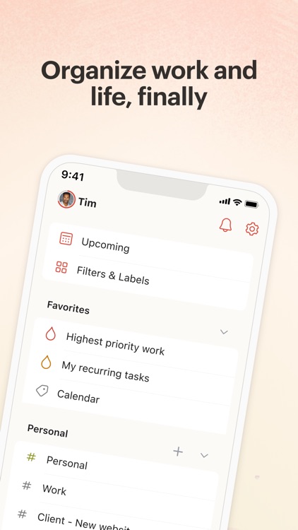 Todoist: To-Do List & Planner screenshot-0