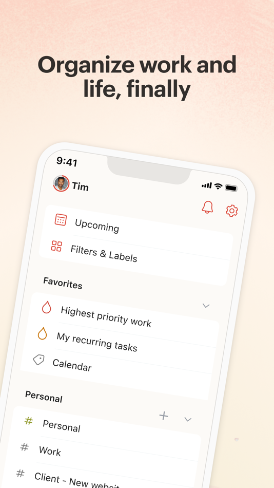 Todoist: To-Do List & Planner - 24.4.33 - (iOS)