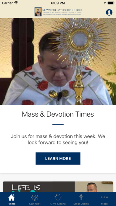 Saint Walter Roselle Screenshot