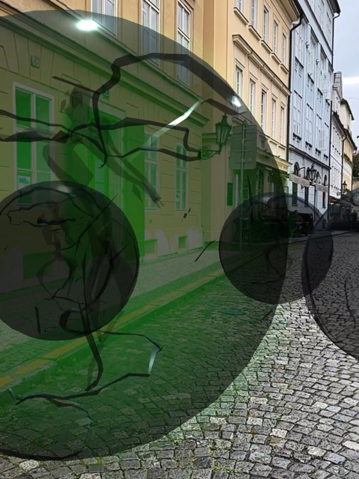 The Sound Garden Out of Sight