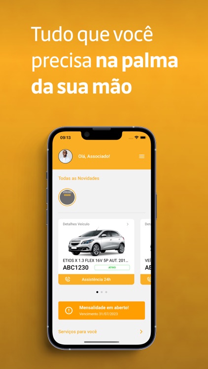 Únnica Proteção Veicular