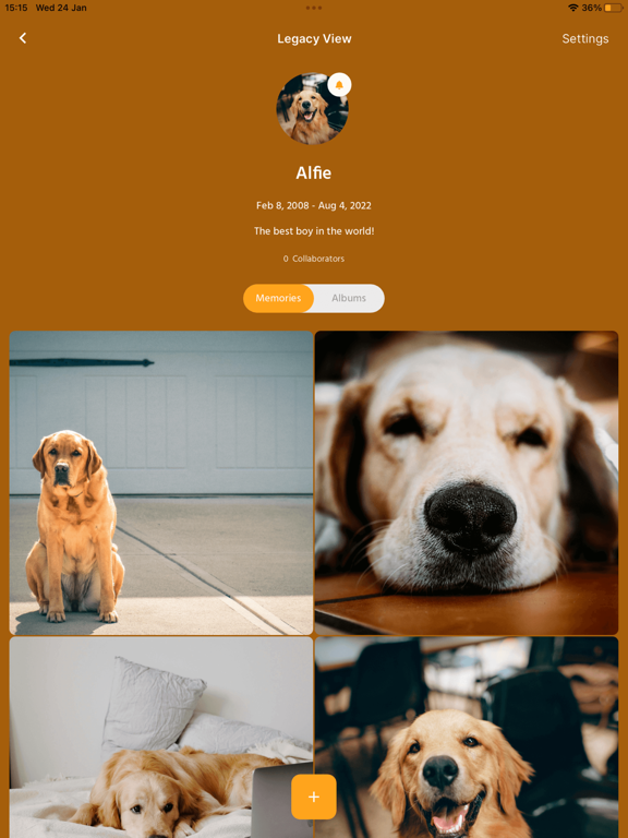 Screenshot #6 pour AlbmLife