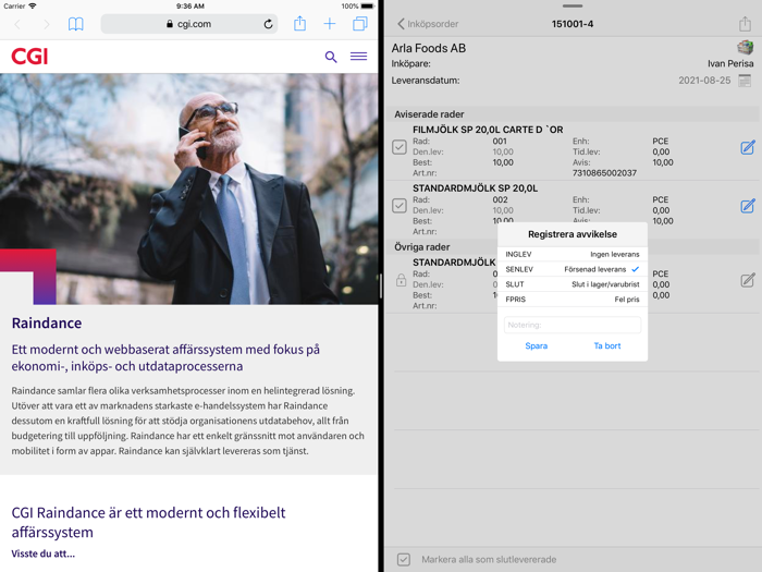 Raindance - Inleverans