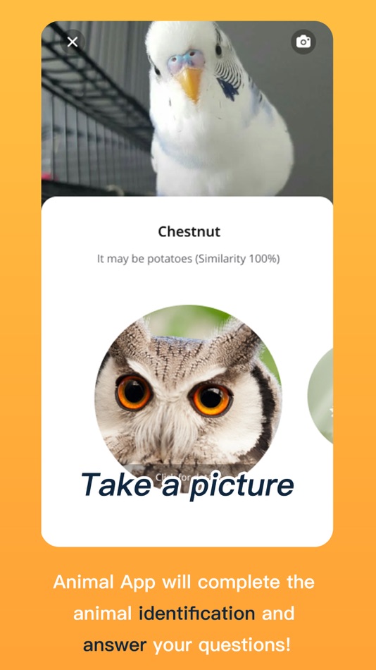 #3. AnimalsSnap-Animal Identifier (iOS) Bởi: ShenZhen MeiMi Network Technologies CO., LTD.