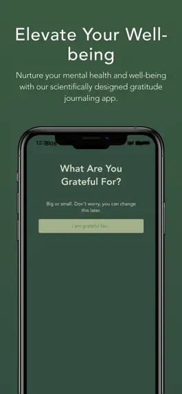 Game screenshot GratiGo hack