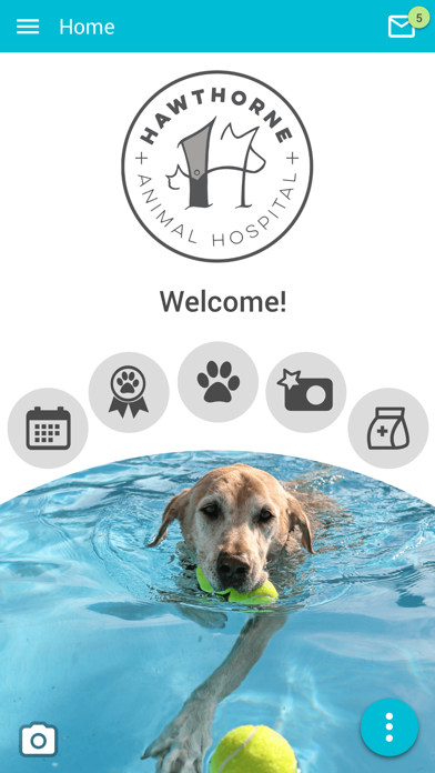 Hawthorne Animal Hospital Screenshot