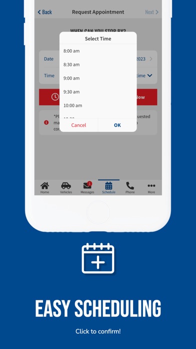 Tiltons Auto Screenshot