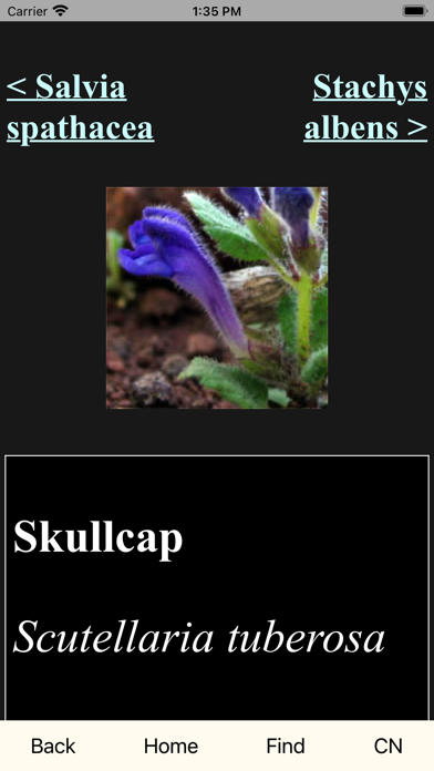 SMM WildFlowers Screenshot