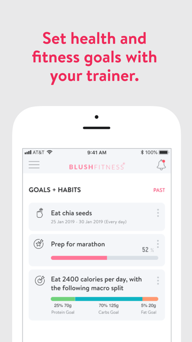 BLUSH FITNESS Virtual Screenshot