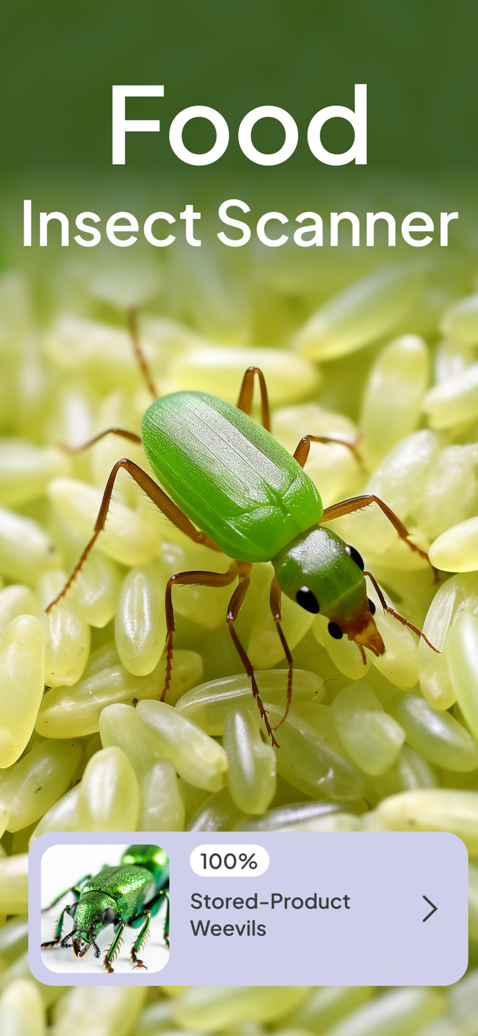 Bug Insect Identification