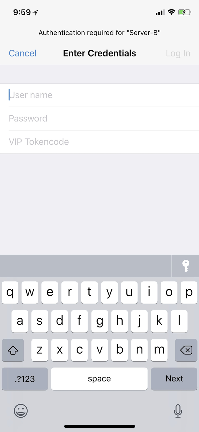 Citrix Secure Access client