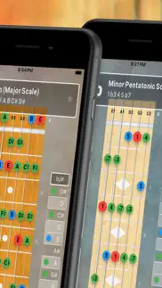 fretboard: chords & scales iphone screenshot 2