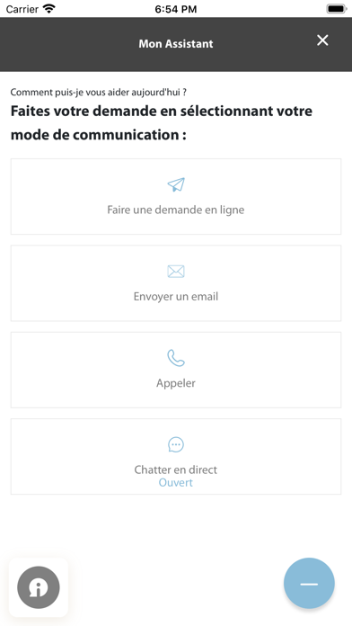 Visa Platinum Business Screenshot