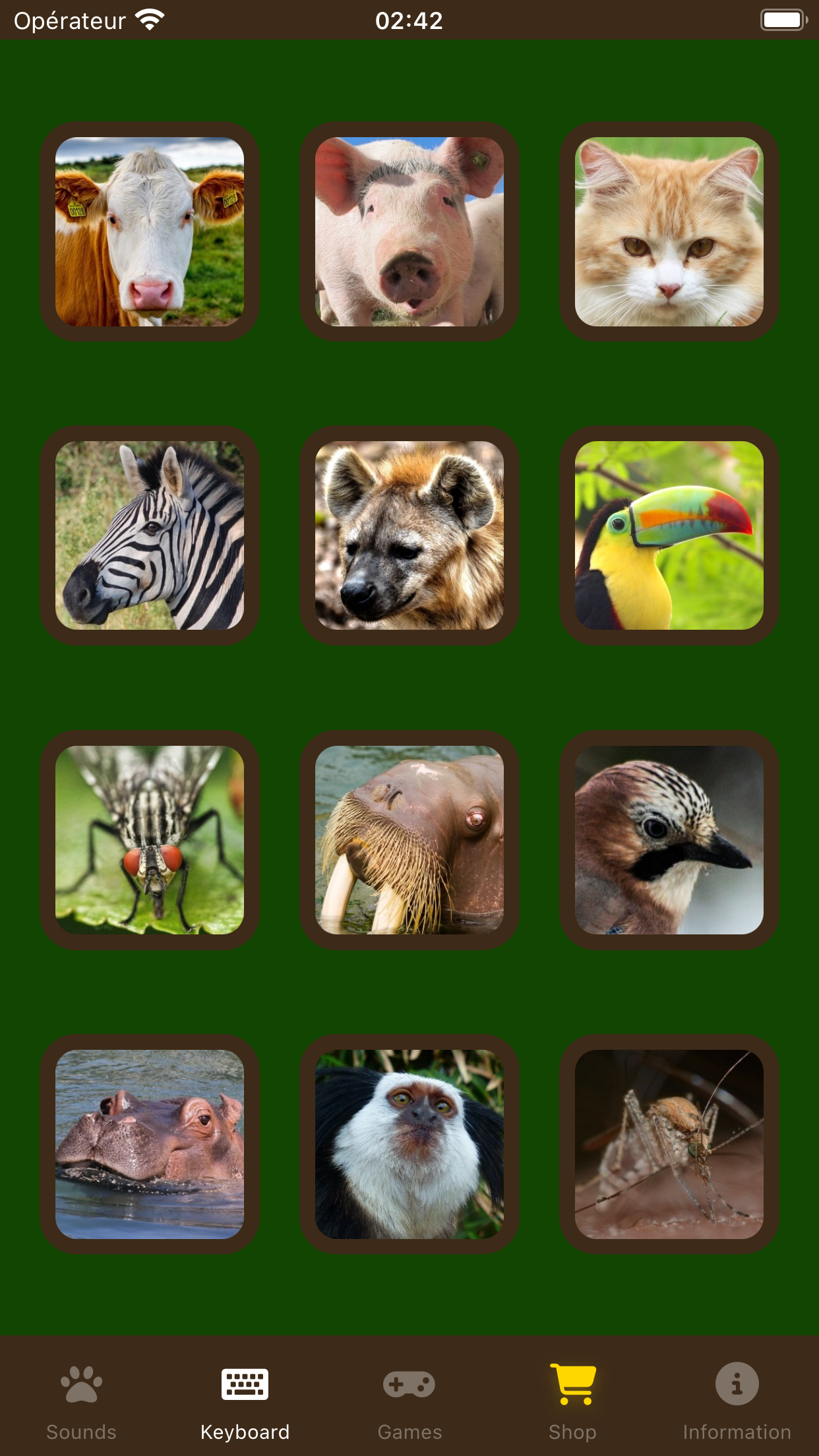 Animal Sounds!