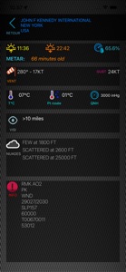 METARWatch screenshot #1 for iPhone