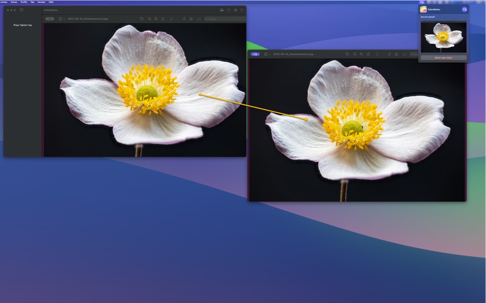 #3. ColorSettor (macOS) 由: Bernd Meinhold