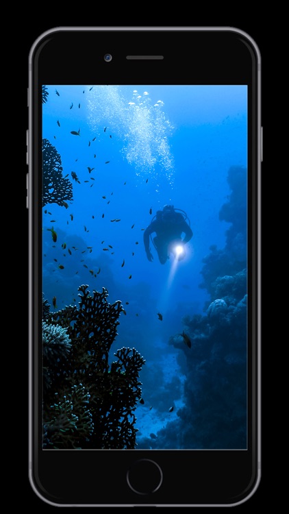 VR Virtual Reality 360° screenshot-9