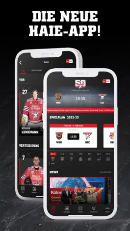 Game screenshot Kölner Haie mod apk