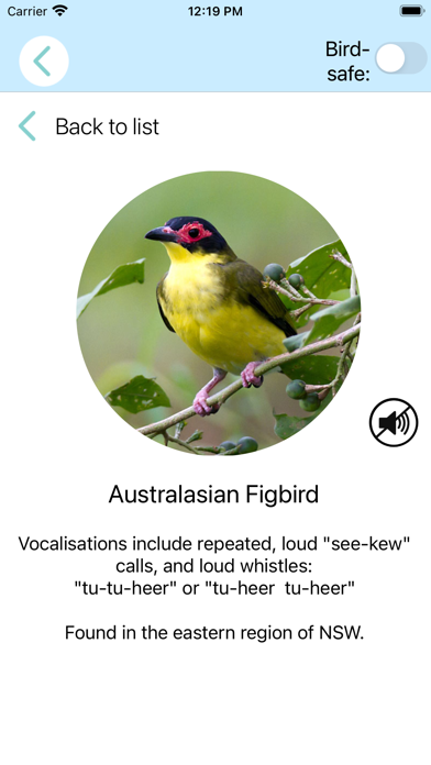 Screenshot #3 pour ChirpOMatic - Australian birds