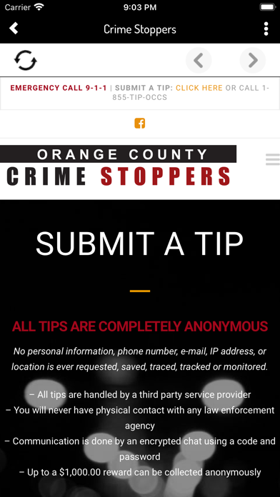 Buena Park Police Department Screenshot