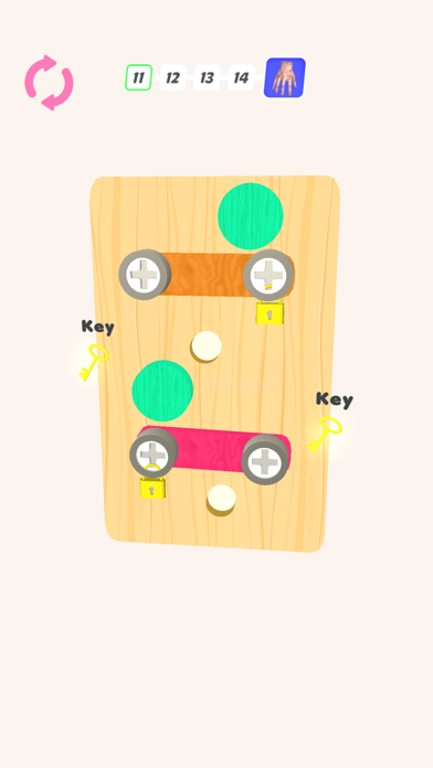 Screw strategy: Pin Puzzle! Screenshot