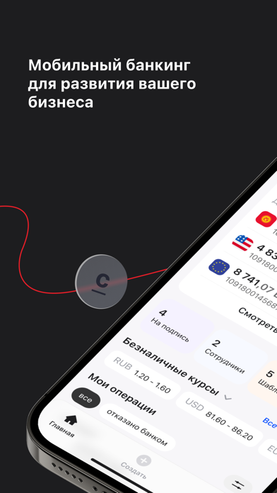 Optima Business Screenshot