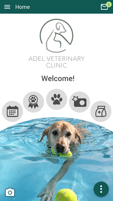 Adel Veterinary Clinic Screenshot