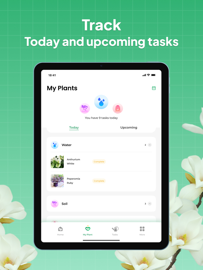 LeafSnap-Plant Identification